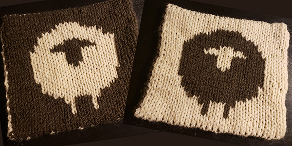Double Knitting - Thurs AM
